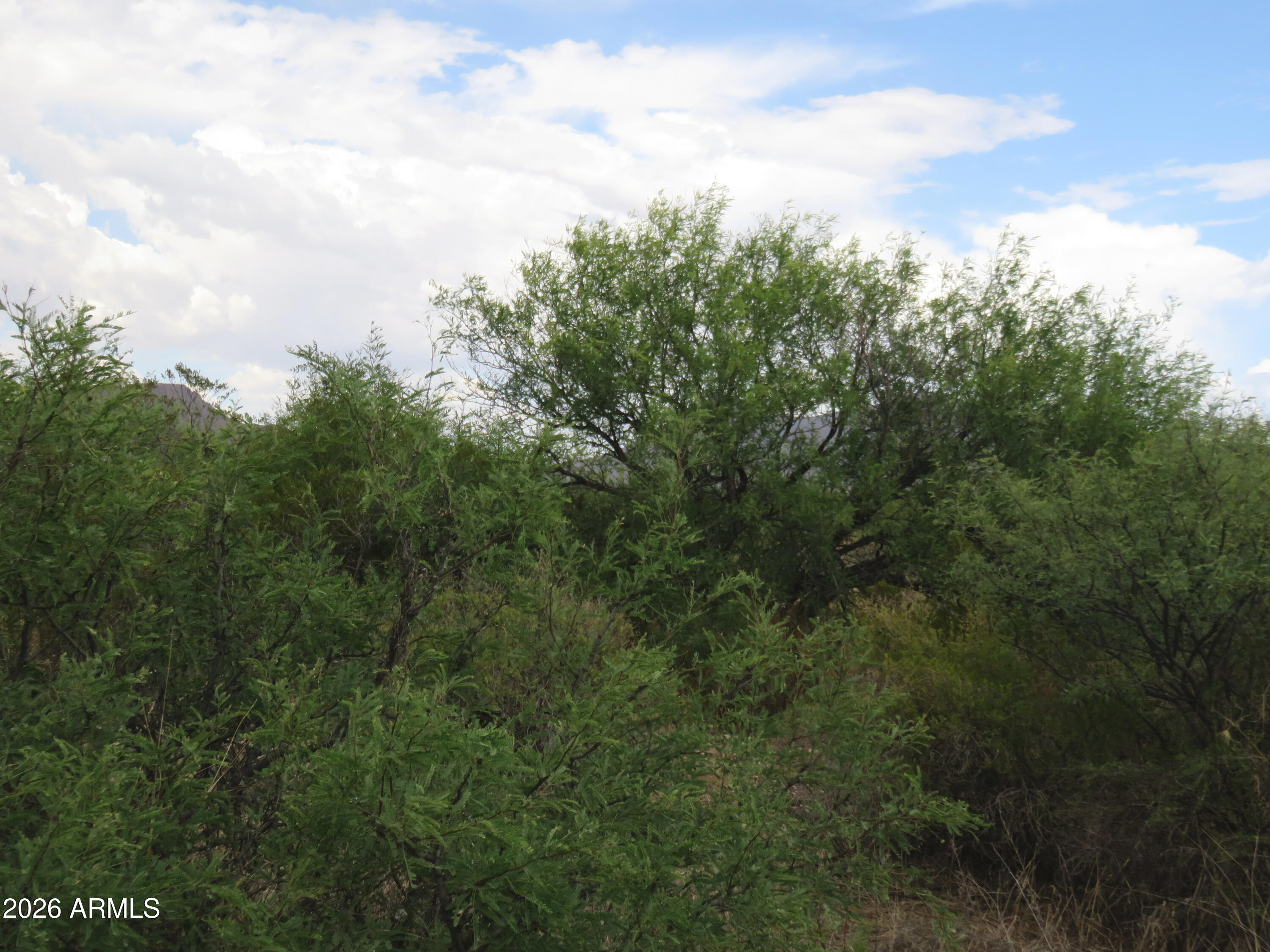 Tbd North Hermosillo Road, Unit 174 Douglas, AZ 85607 - Photo 8 of 10 Hermosillo 3