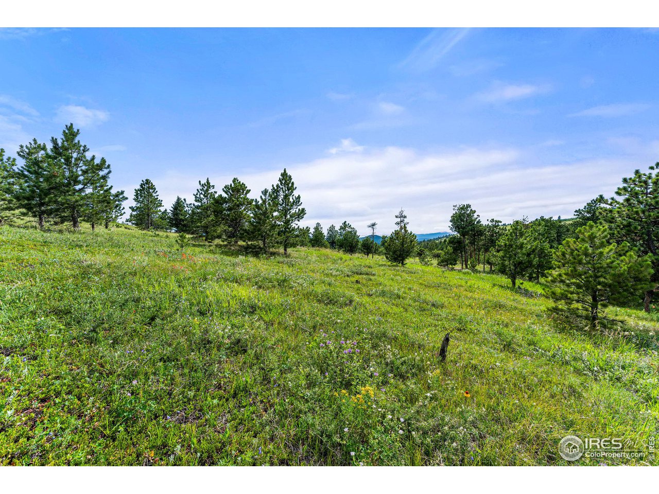 0 Old Townsite Road Boulder, CO 80302 - Photo 12 of 40 Gallery Image 12