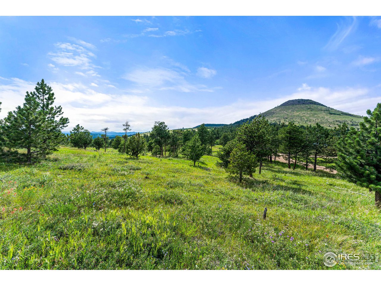 0 Old Townsite Road Boulder, CO 80302 - Photo 14 of 40 Gallery Image 14