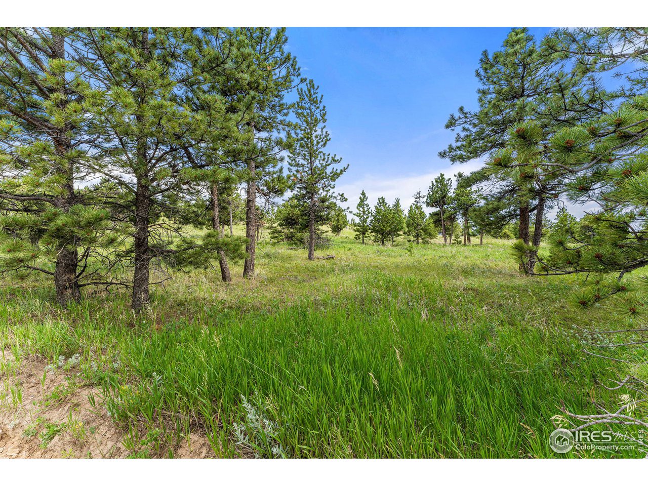 0 Old Townsite Road Boulder, CO 80302 - Photo 15 of 40 Gallery Image 15