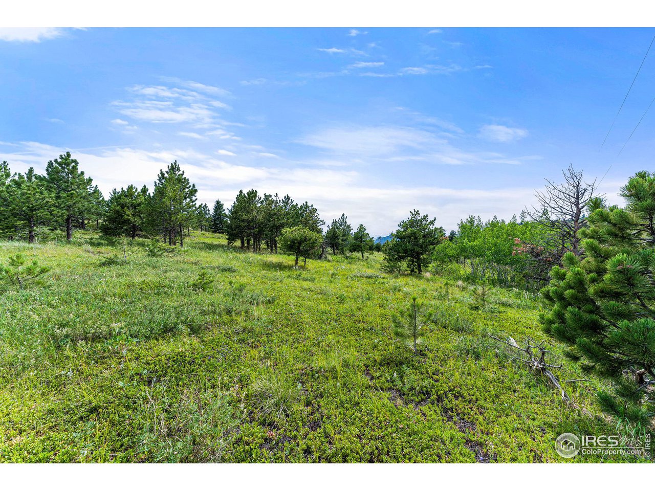 0 Old Townsite Road Boulder, CO 80302 - Photo 7 of 40 Gallery Image 7