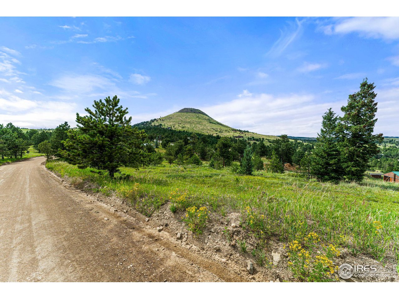 0 Old Townsite Road Boulder, CO 80302 - Photo 8 of 40 Gallery Image 8