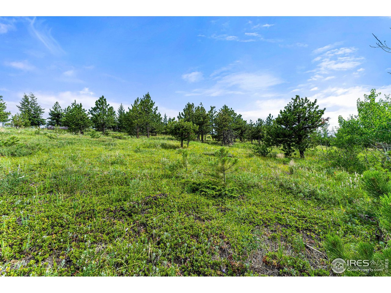 0 Old Townsite Road Boulder, CO 80302 - Photo 9 of 40 Gallery Image 9