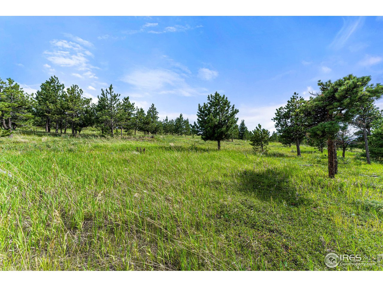 0 Old Townsite Road Boulder, CO 80302 - Photo 10 of 40 Gallery Image 10