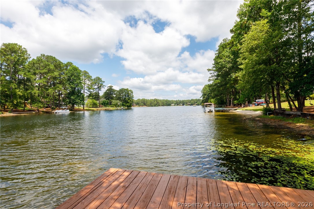 3516 Niagara Carthage Road Whispering Pines, NC 28327 - Photo 34 of 35