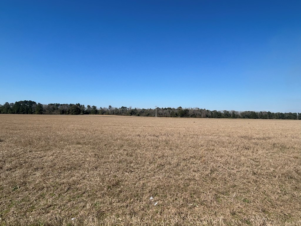 15-ac Webb Road Dothan, AL 36301 - Photo 17 of 33