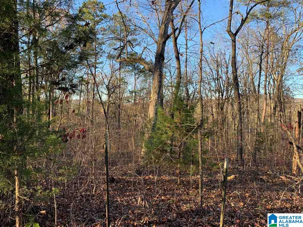 240 Larkhaven Lane, Unit 20 ACRES Springville, AL 35146 - Photo 17 of 17