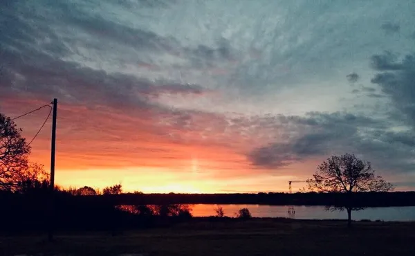 a view of a yard with wooden fence