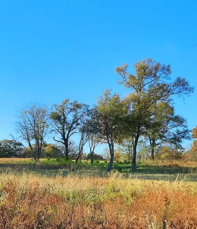 $250,000 | Lot 5 Private Road 7327, Emory, TX 75440