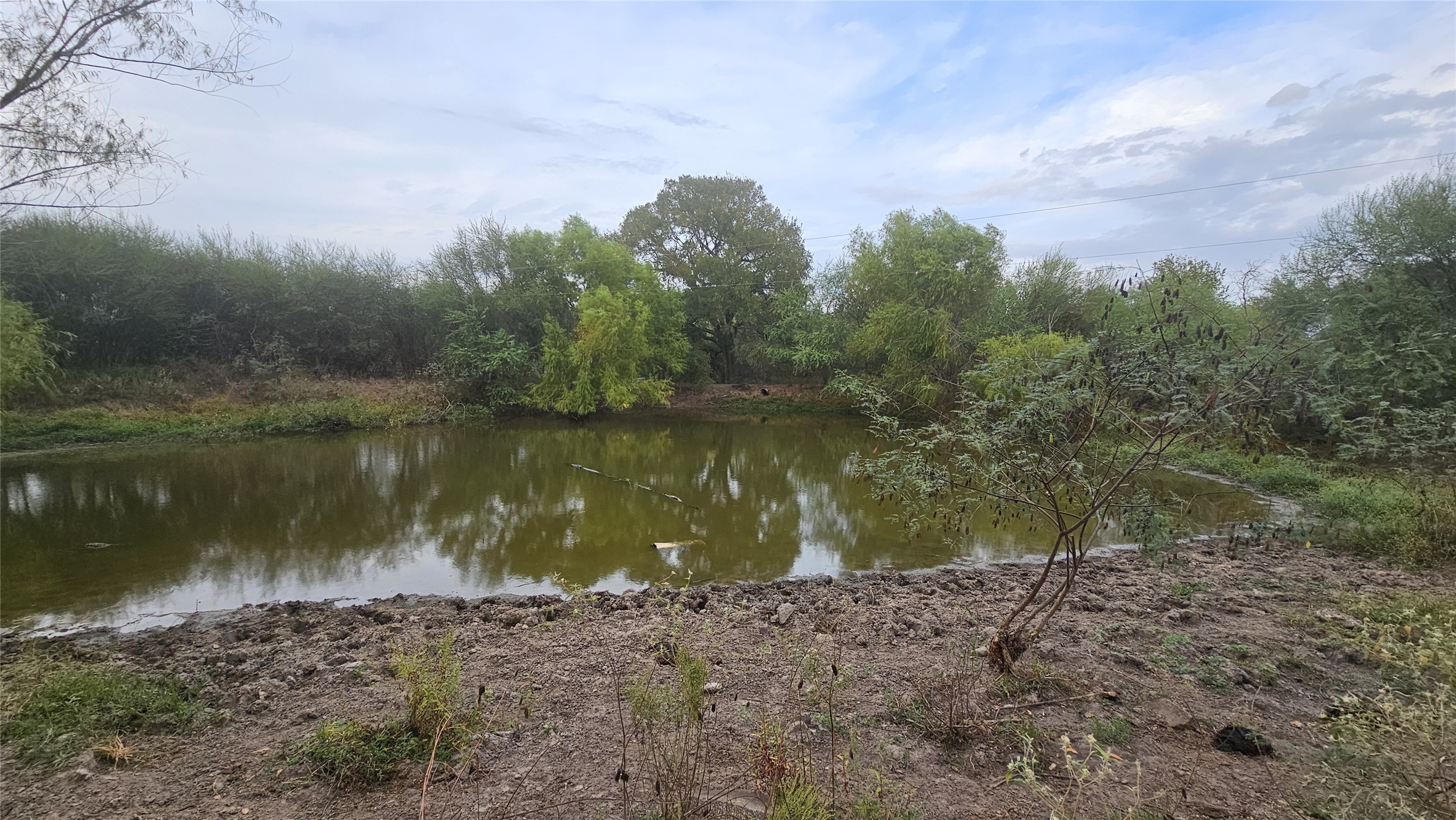 11346 East Ueckert Road Bellville, TX 77418 - Photo 3 of 7 a view of a lake with a yard