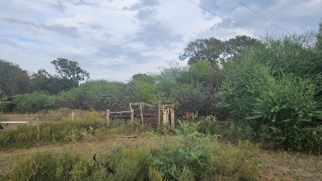 11346 East Ueckert Road Bellville, TX 77418 - Photo 5 of 7 a view of a city with lush green forest