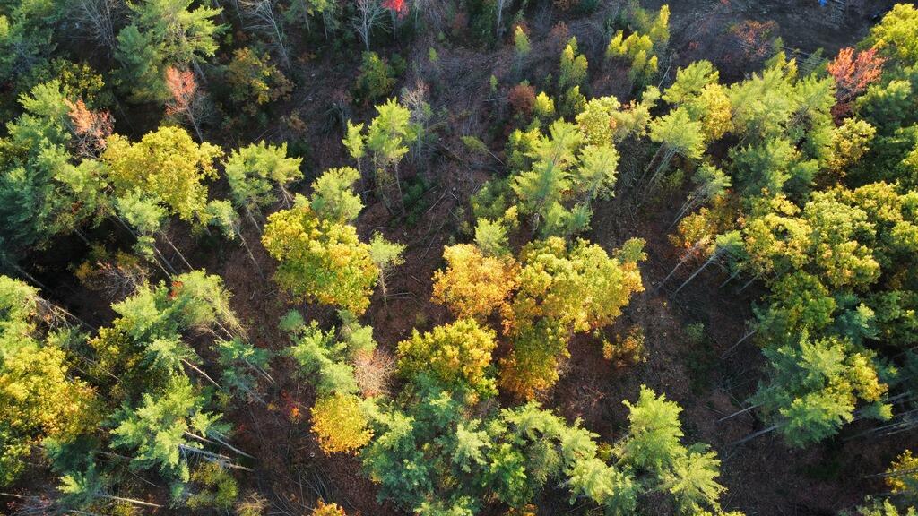 Lot 16-1) U.S. Rte 1 Cape Neddick, ME 03902 - Photo 2 of 7 Lot1Done3