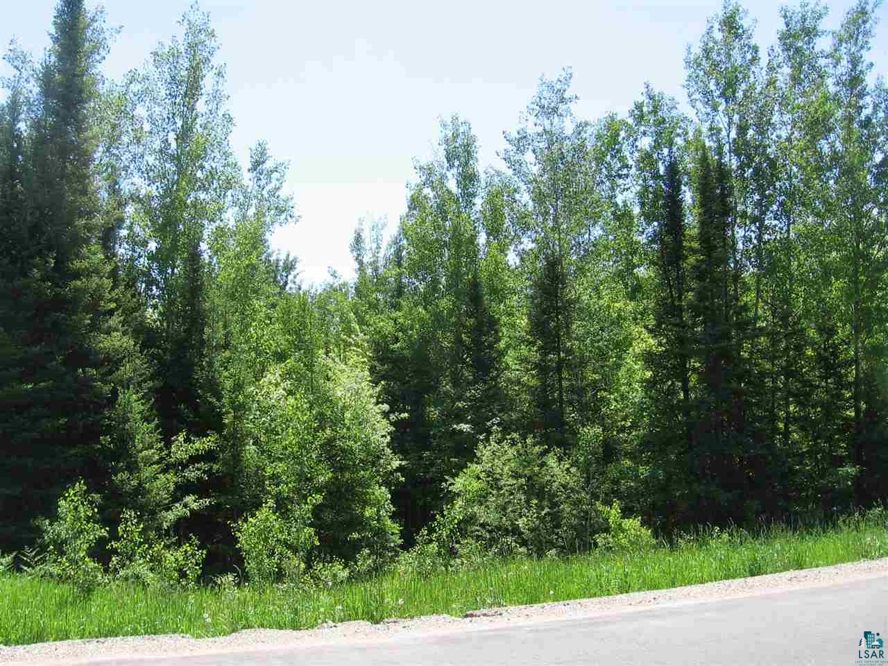 13436 North Pine Road Ely, MN 55731 - Photo 15 of 16