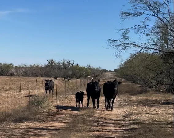 $99,999 | Lot 2 Us 283, Brady, TX 76825
