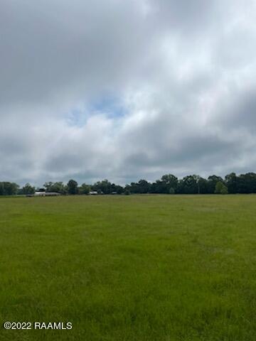 Dupre Road, Unit TRACT1C Opelousas, LA 70570 - Photo 3 of 8 Land 3