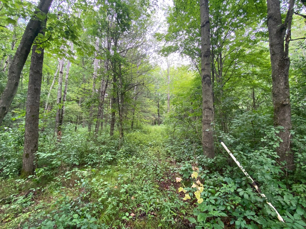 0 Alderman Road Hammondsport, NY 14840 - Photo 23 of 28