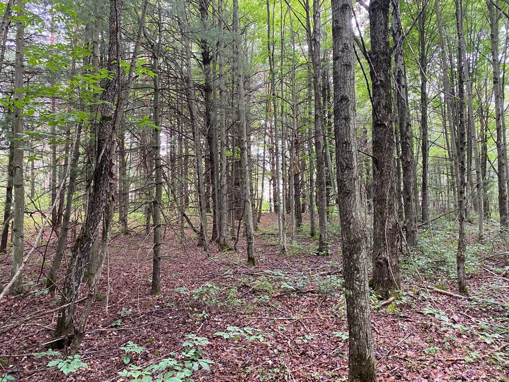 0 Alderman Road Hammondsport, NY 14840 - Photo 26 of 28