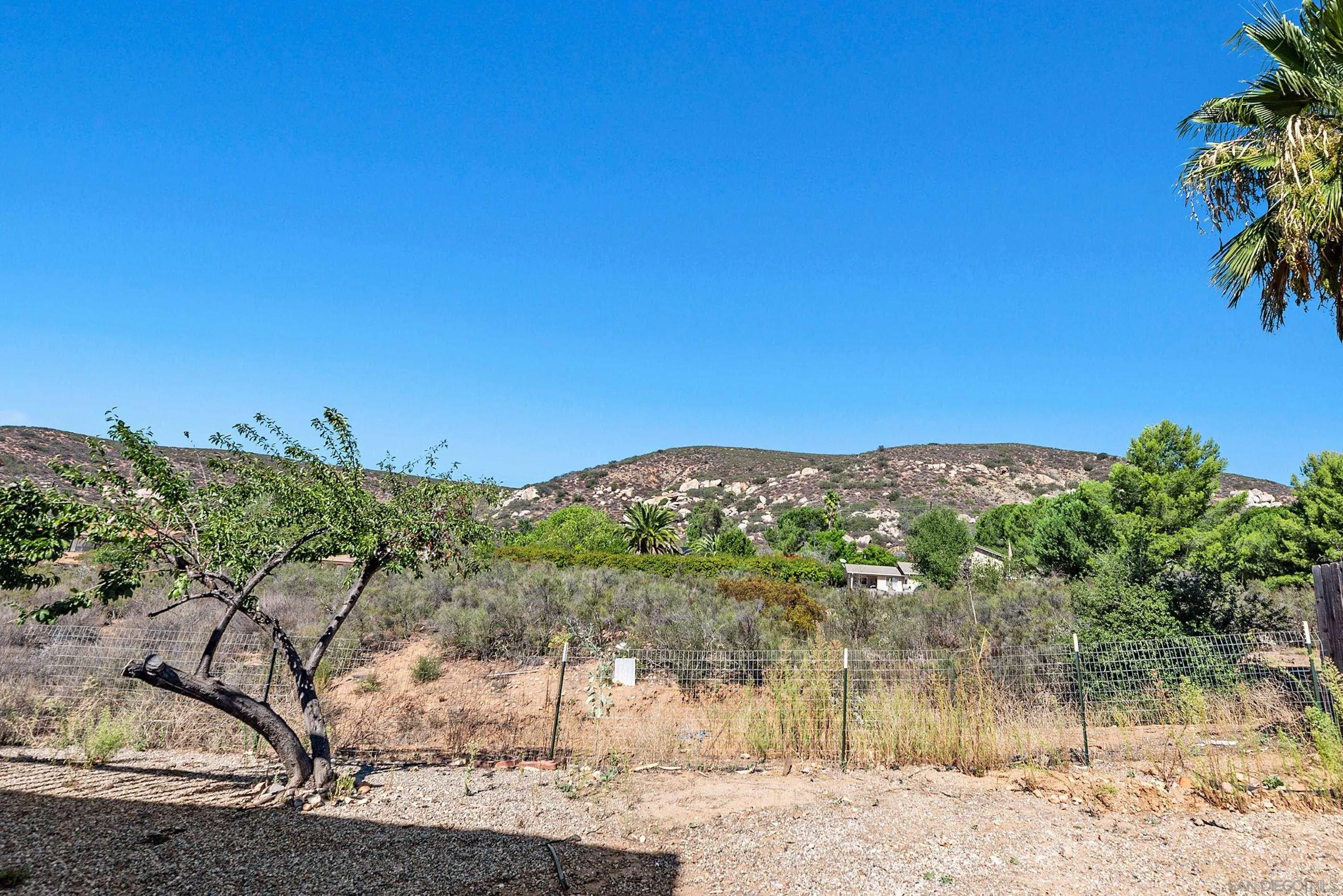 24252 Sargeant Road Ramona, CA 92065 - Photo 48 of 57 a view of a yard with a mountain in the background