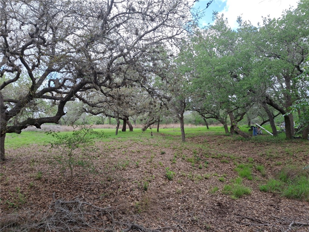 9213 Pvt 6005 Road Sinton, TX 78387 - Photo 17 of 24