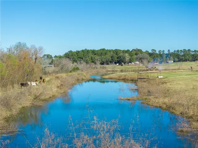 $825,000 | 10802 County Road 203, Plantersville, TX 77363