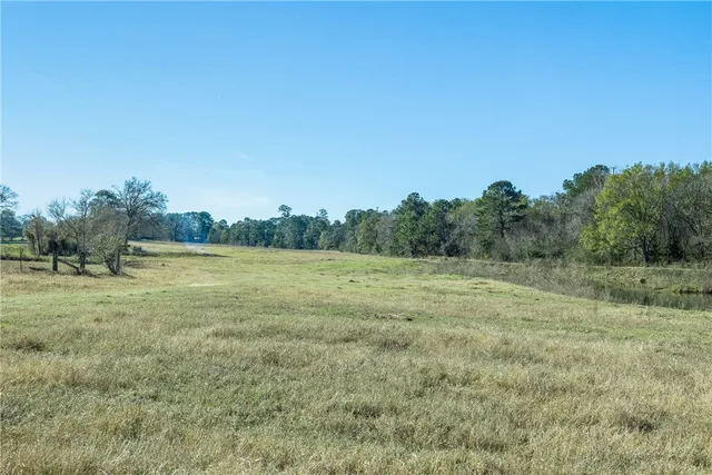a view of a field with trees in the background