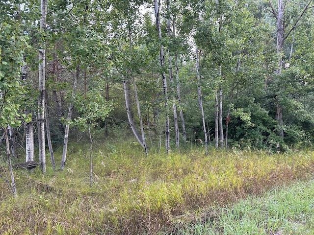 Nhn East Stockwell Road Harrison, MI 48625 - Photo 3 of 8