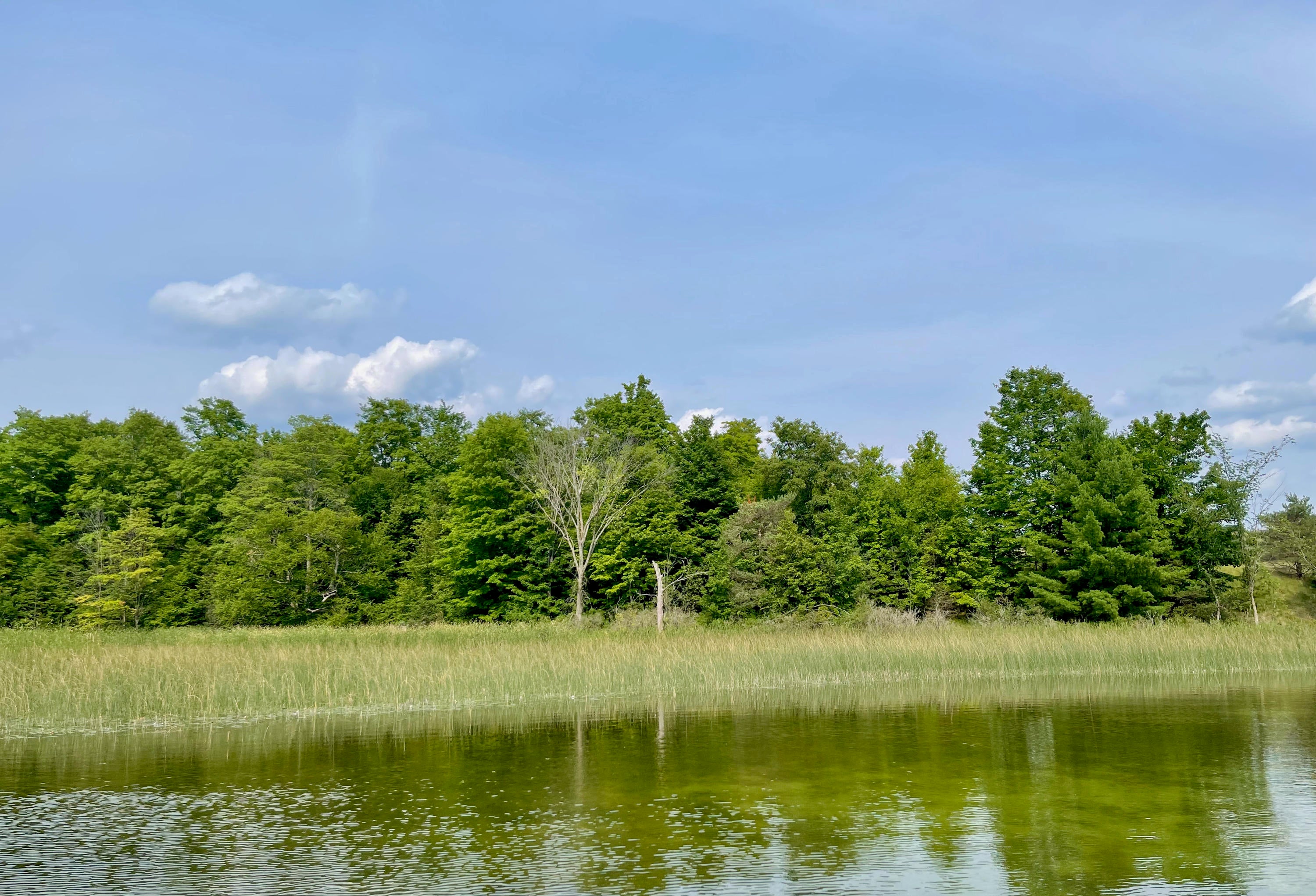803 Guenther Ridge Gaylord, MI 49735 - Photo 3 of 23 Gallery Image 3