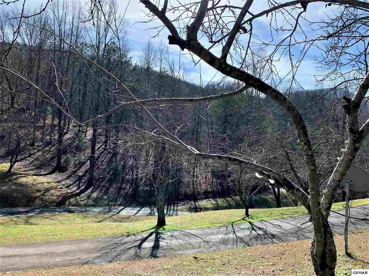 933 Caney Creek Road Sevierville, TN 37863 - Photo 9 of 36