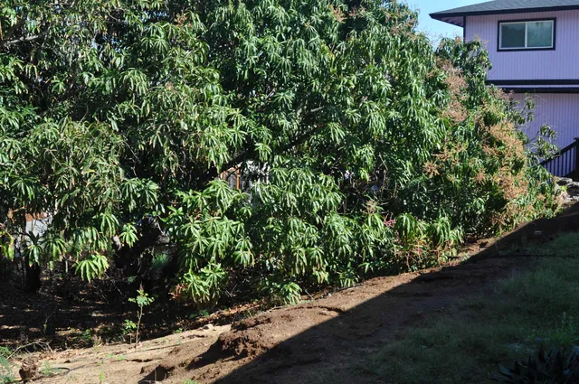 $680,000 | 434 Kea Street, Kahului, HI 96732