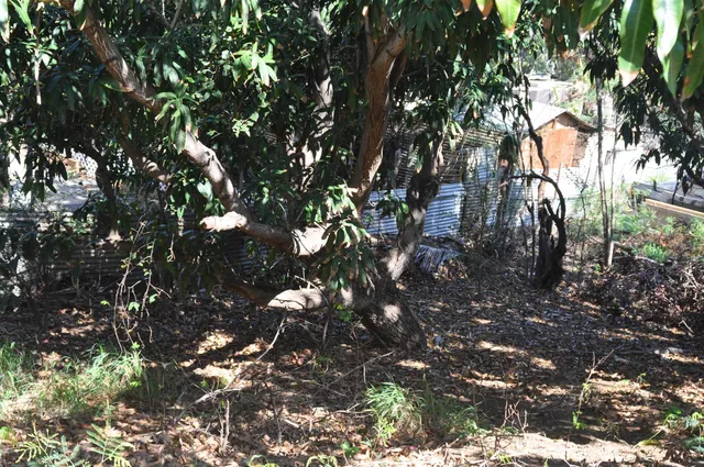 $680,000 | 434 Kea Street, Kahului, HI 96732