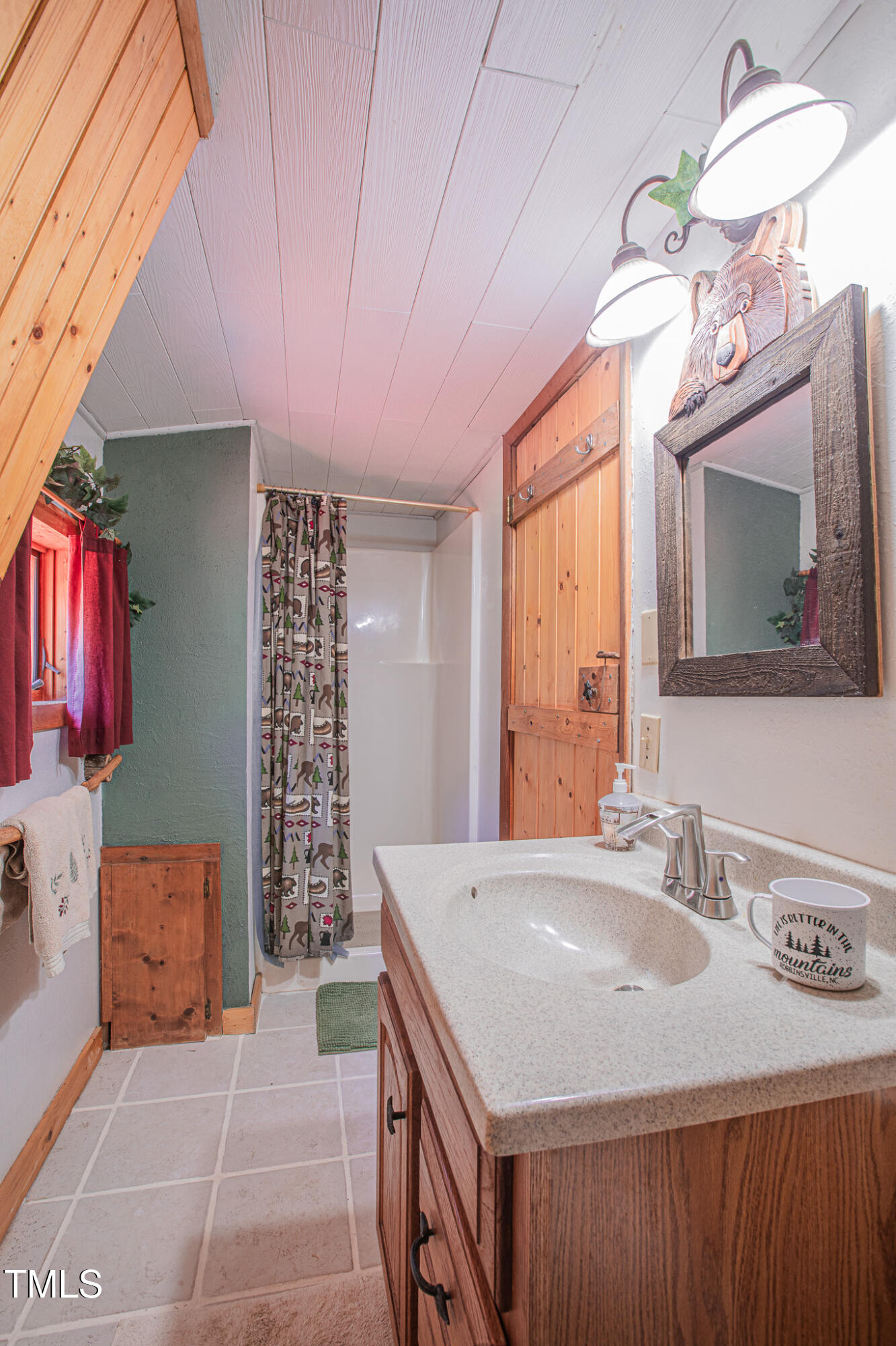 4989 West Buffalo Road Robbinsville, NC 28771 - Photo 35 of 44 _U5A2648