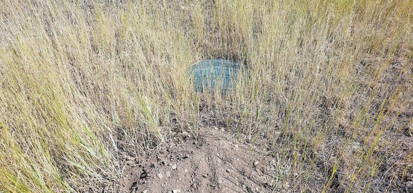 1041 Ward Way Colville, WA 99114 - Photo 15 of 20