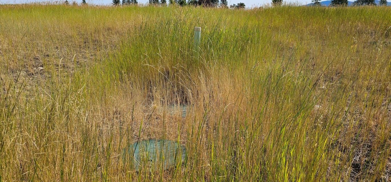 1041 Ward Way Colville, WA 99114 - Photo 16 of 20