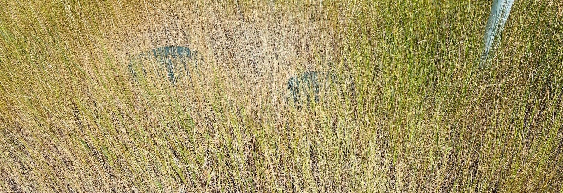 1041 Ward Way Colville, WA 99114 - Photo 17 of 20