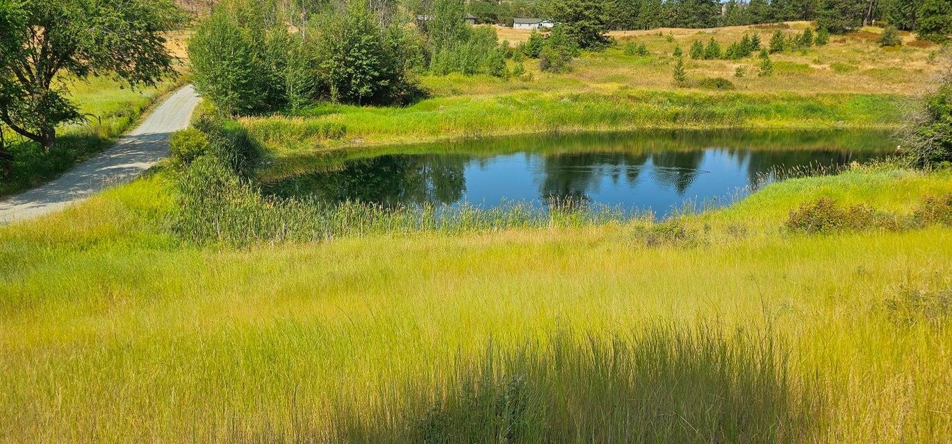 1041 Ward Way Colville, WA 99114 - Photo 18 of 20