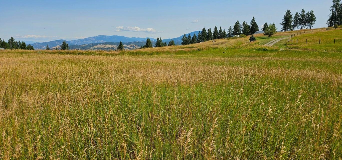 1041 Ward Way Colville, WA 99114 - Photo 19 of 20