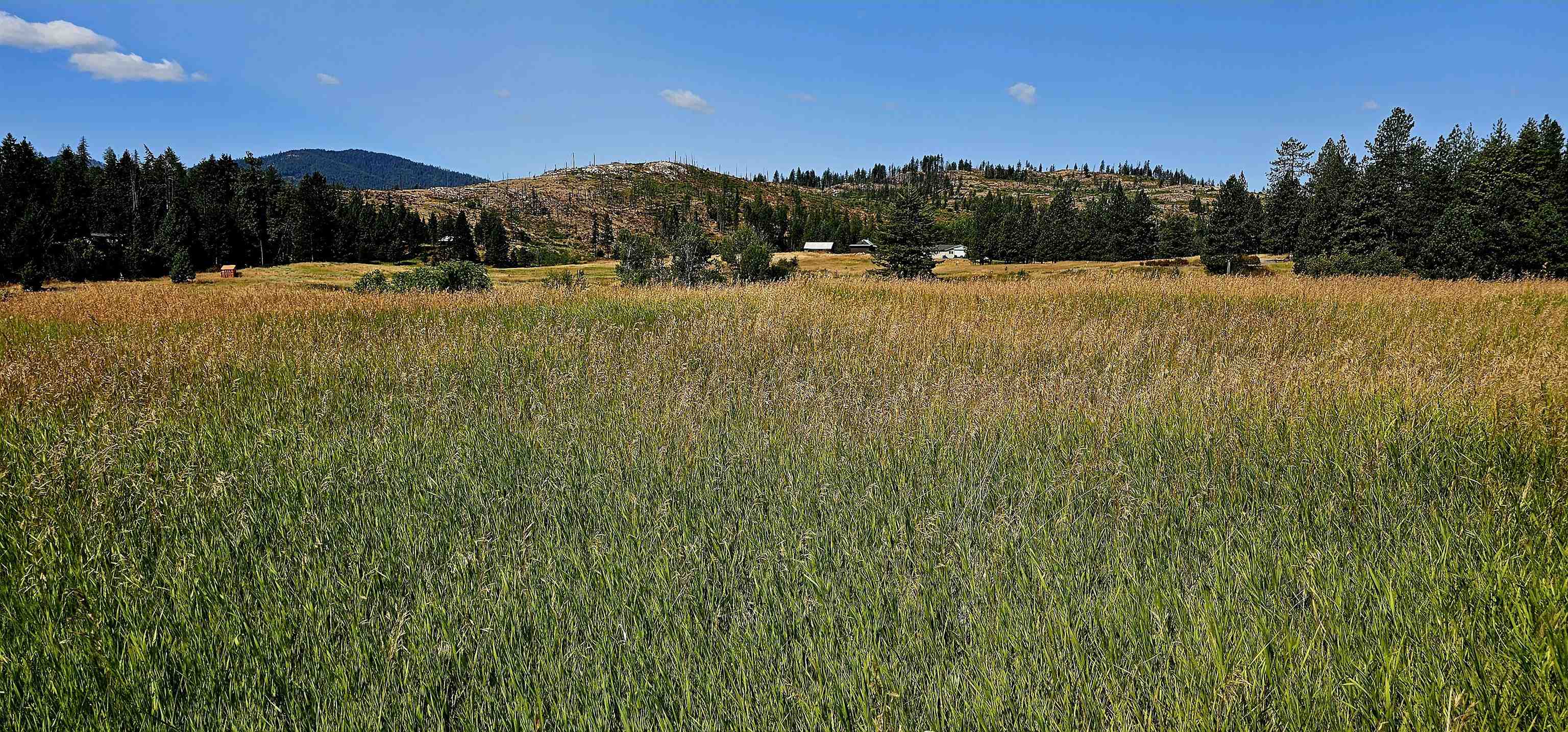 1041 Ward Way Colville, WA 99114 - Photo 20 of 20