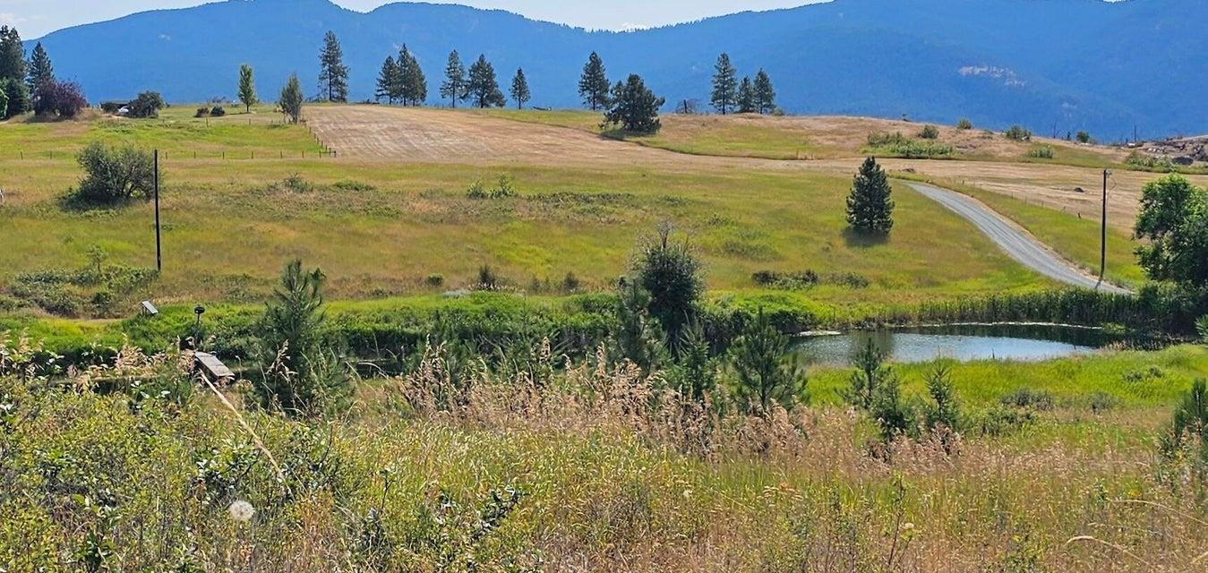 1041 Ward Way Colville, WA 99114 - Photo 2 of 20