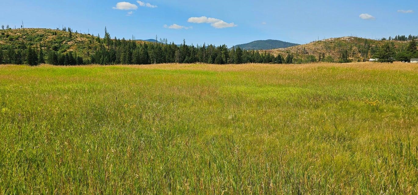 1041 Ward Way Colville, WA 99114 - Photo 7 of 20