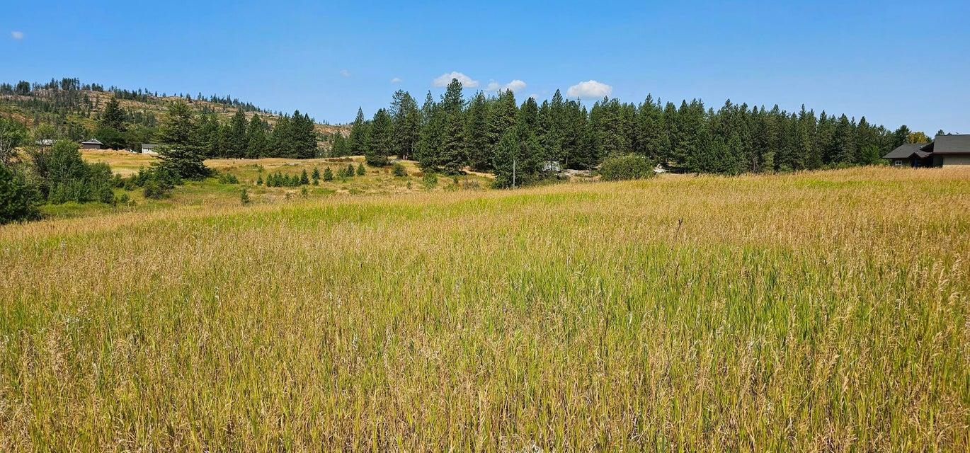 1041 Ward Way Colville, WA 99114 - Photo 9 of 20