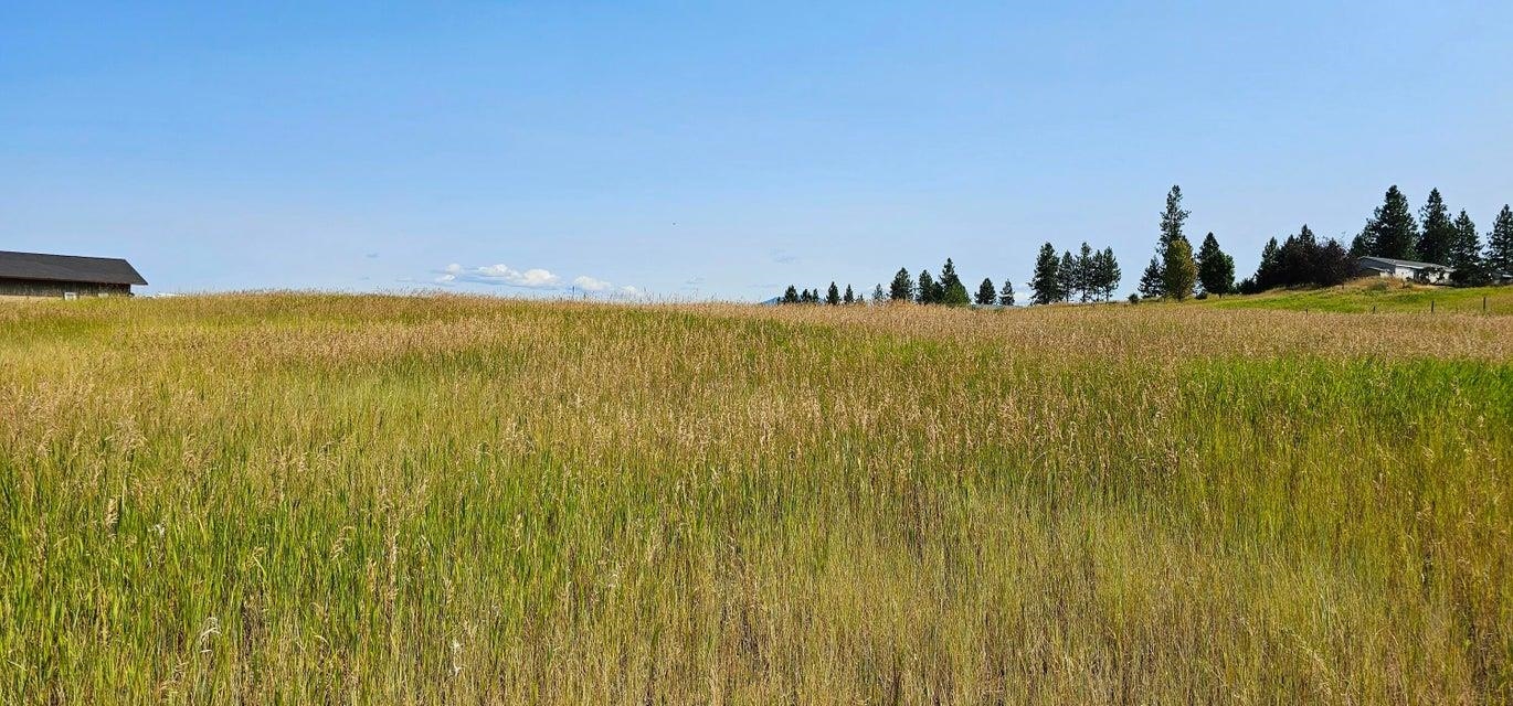 1041 Ward Way Colville, WA 99114 - Photo 10 of 20