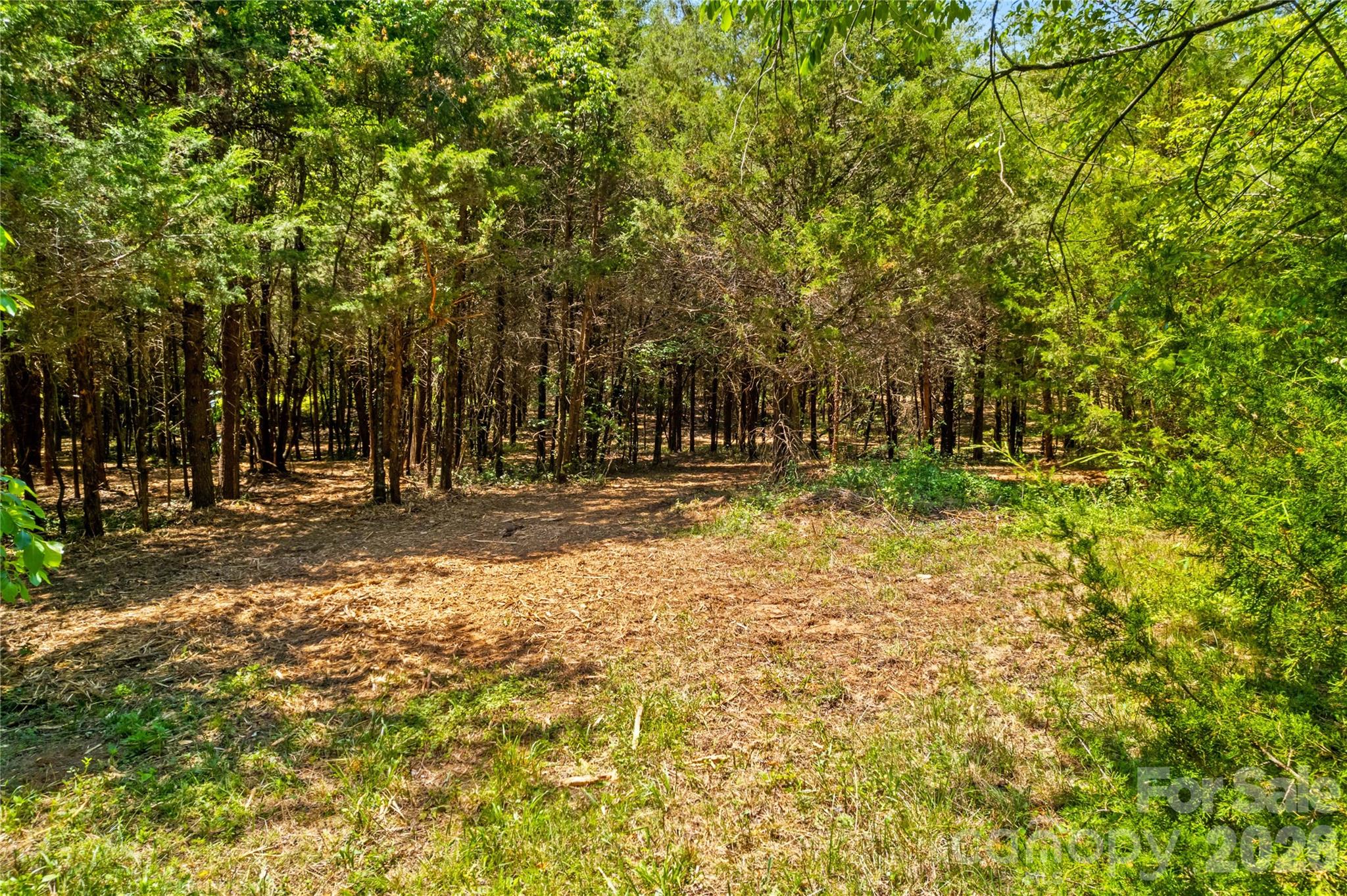 190 Sheffield Road Harmony, NC 28634 - Photo 8 of 13 a backyard of a house with lots of green space and fountain