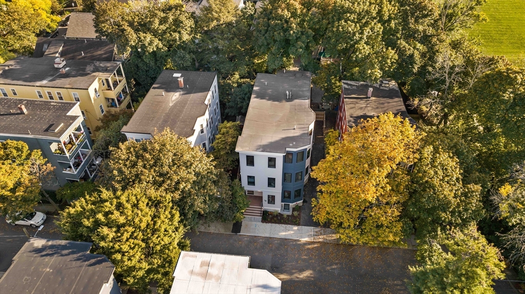 8 Poplar Road, Unit A Cambridge, MA 02138 - Photo 30 of 35 front view of a house with a yard and large trees