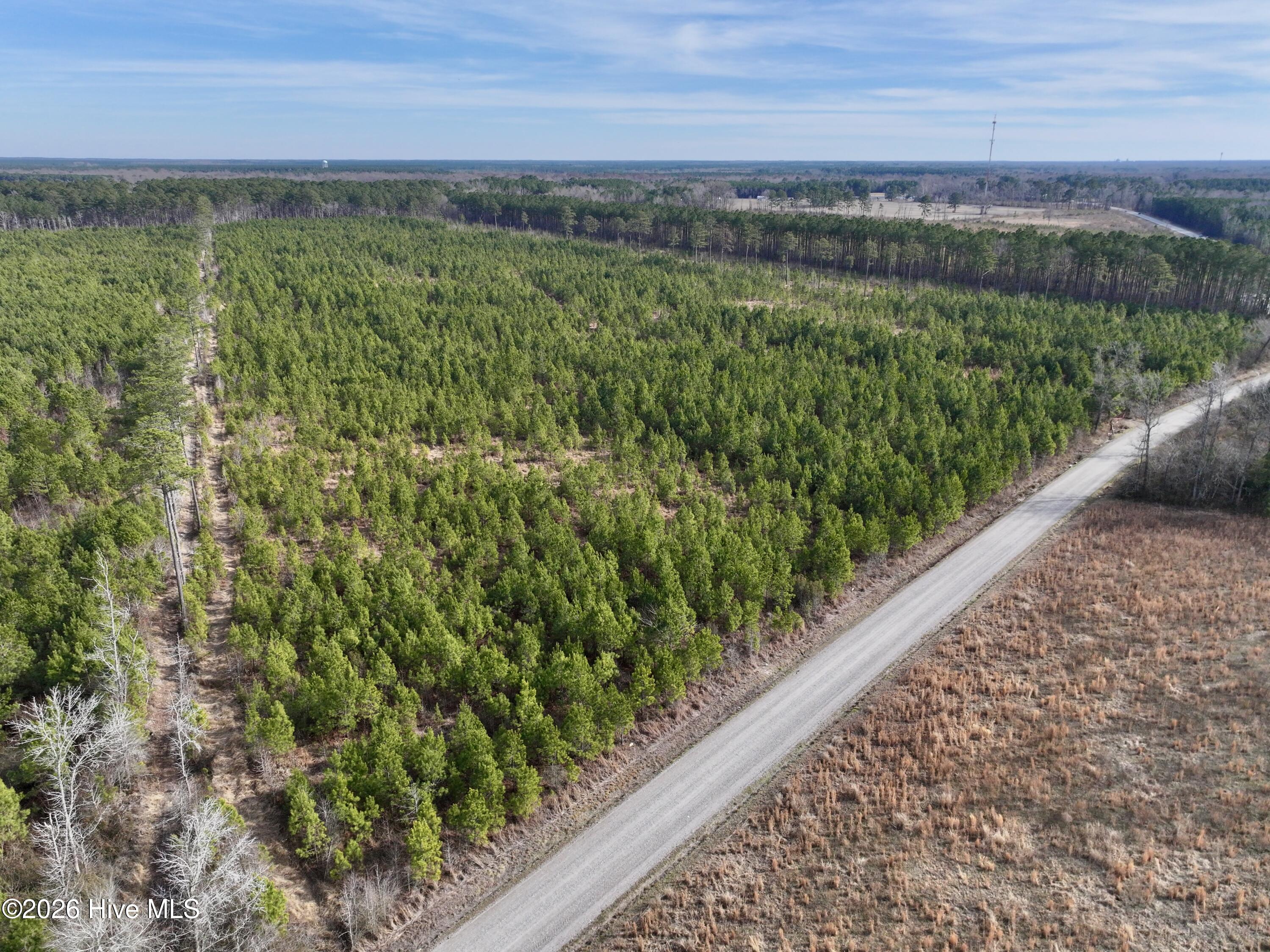 0 Old Washington Road Vanceboro, NC 28586 - Photo 17 of 34 17