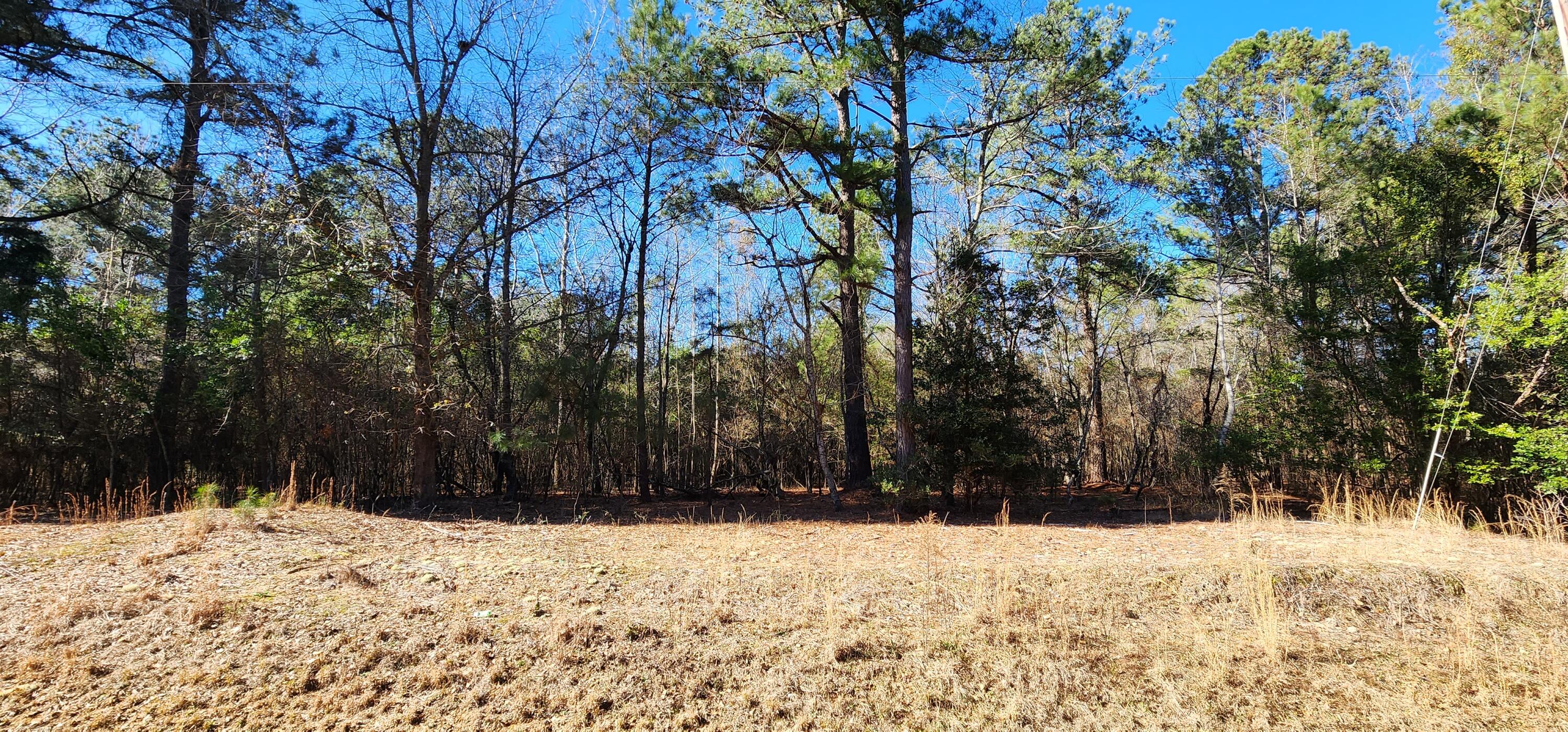 Lot 39 Ridgelake Circle St. Matthews, SC 29135 - Photo 1 of 5 Lot 40 Ridgelake Circle (1)