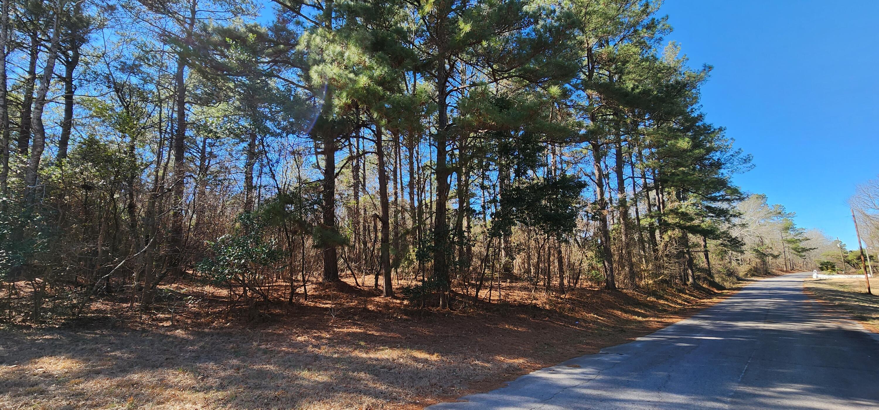 Lot 39 Ridgelake Circle St. Matthews, SC 29135 - Photo 3 of 5 Lot 39 Rdigelake Circle (4)