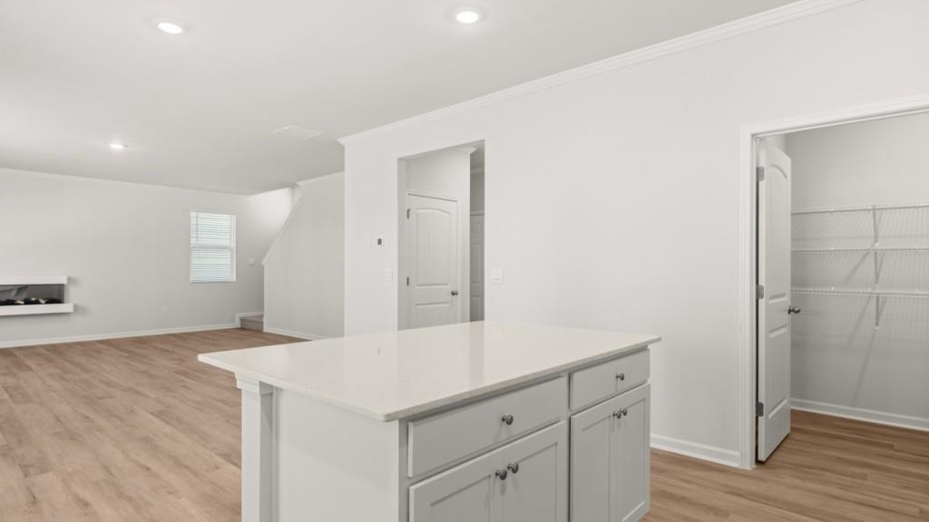 30 Rye Terrace Braselton, GA 30517 - Photo 8 of 30