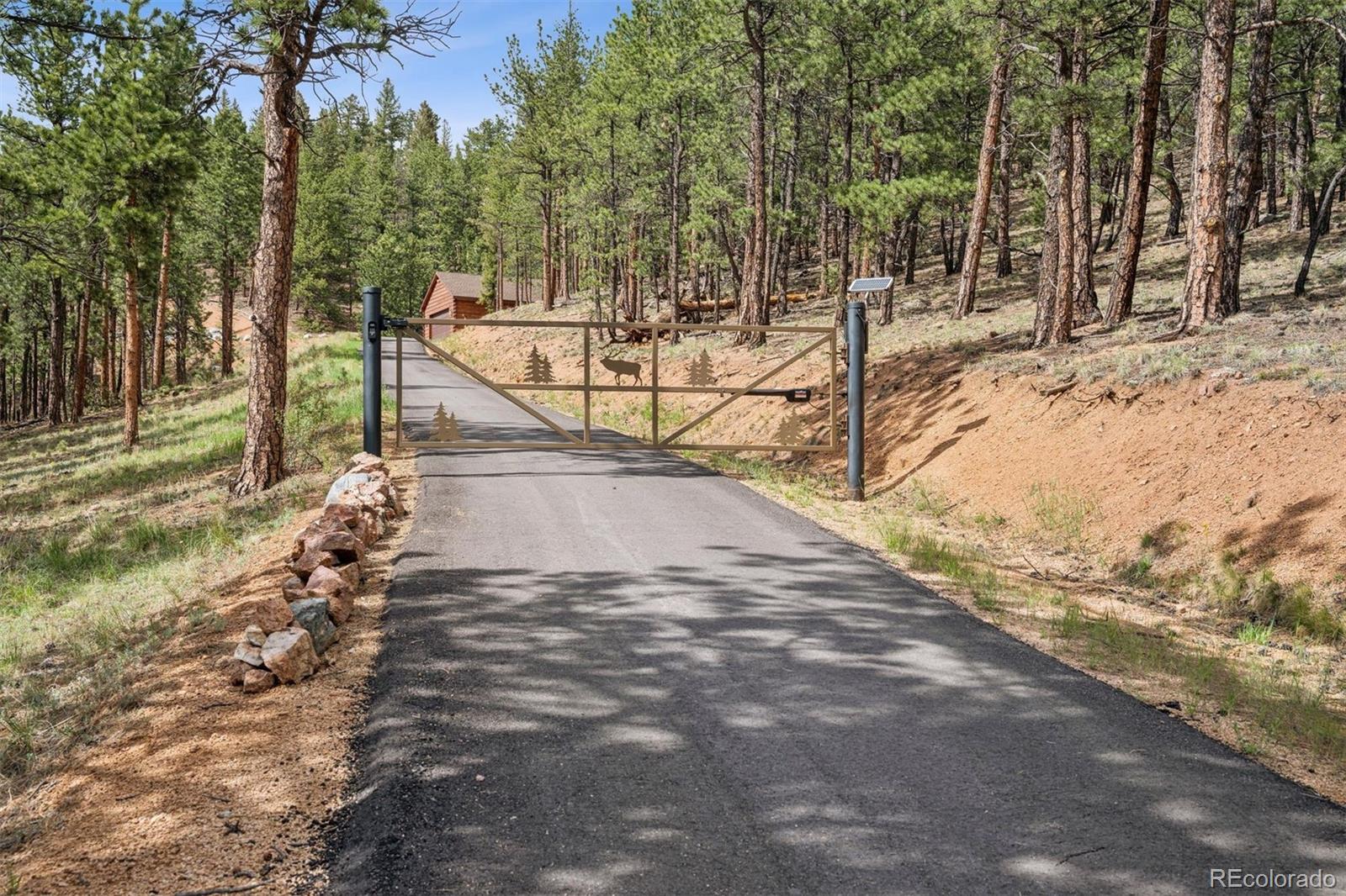 2894 County Road 43 Bailey, CO 80421 - Photo 4 of 40 a view of a yard with trees