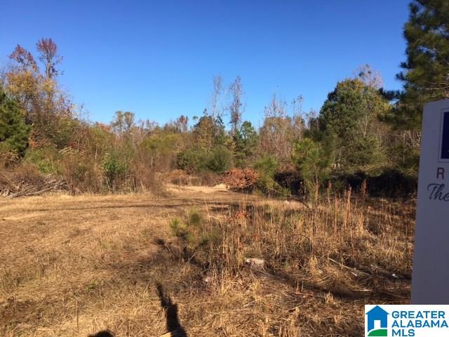 5230 Eastern Valley Road Bessemer, AL 35022 - Photo 3 of 3