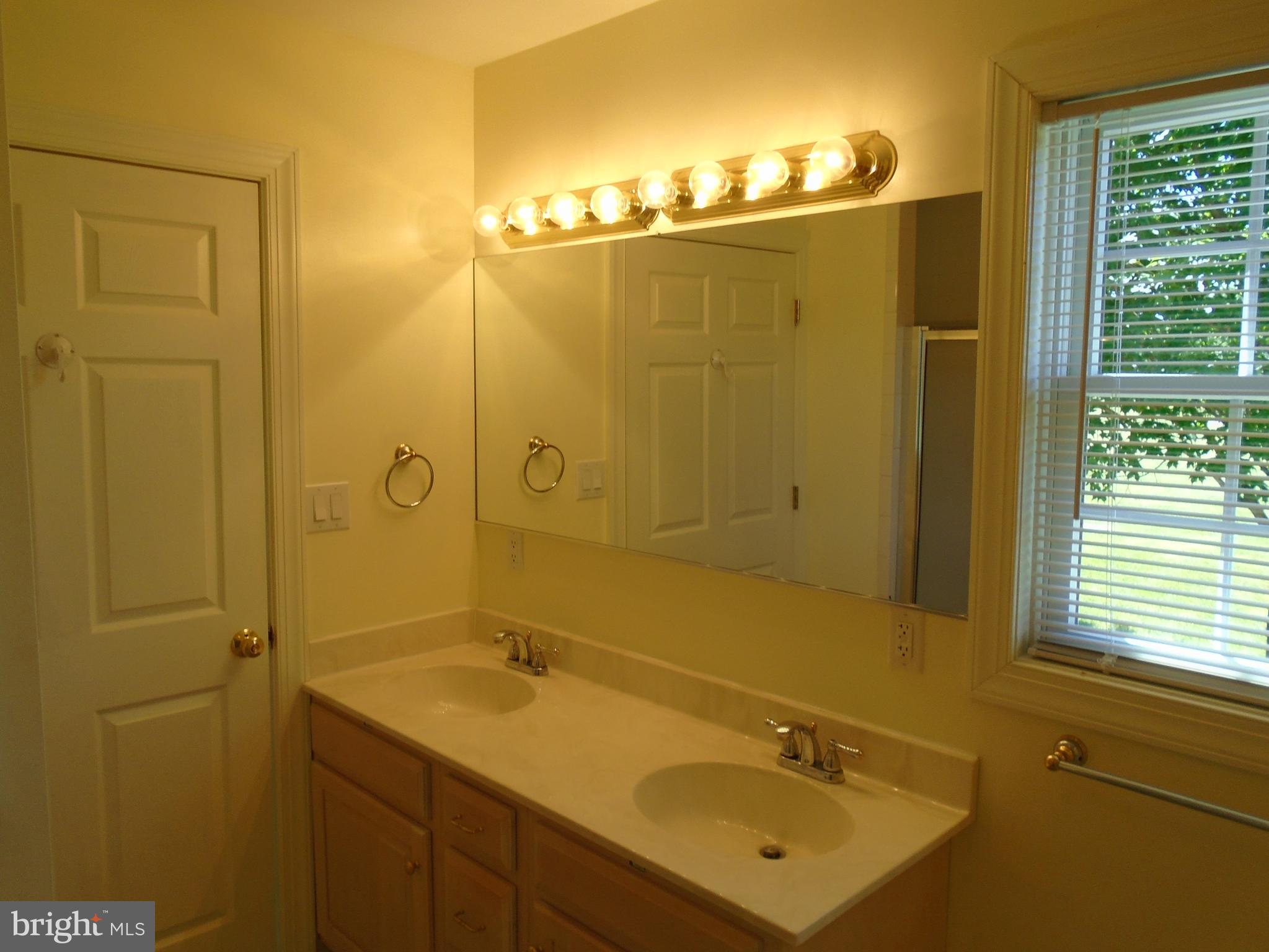 241 French Road Shenandoah Junction, WV 25442 - Photo 19 of 35 Master Bath
